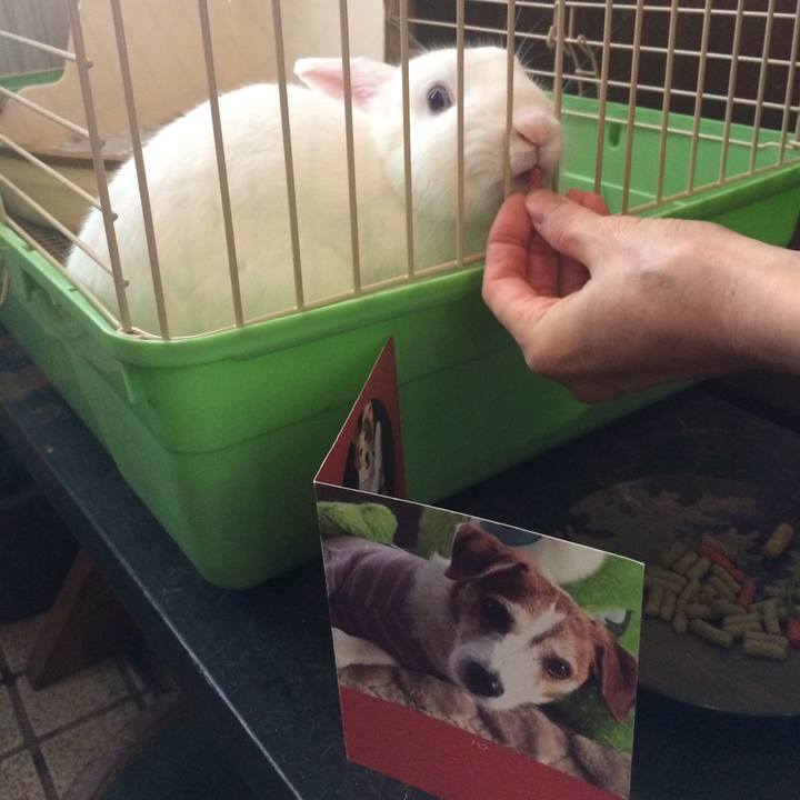 B2efb2dd fbae 469c 98c6 24f4e5d8c5ab