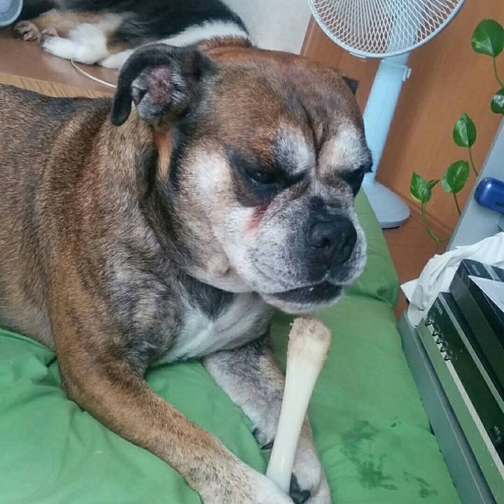 B2f01a49 c299 49e8 bf21 8bf9b037c993