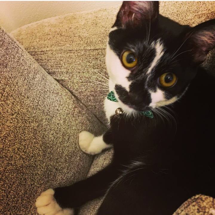 B2f03da7 c794 4057 814f a1c11f8d582b