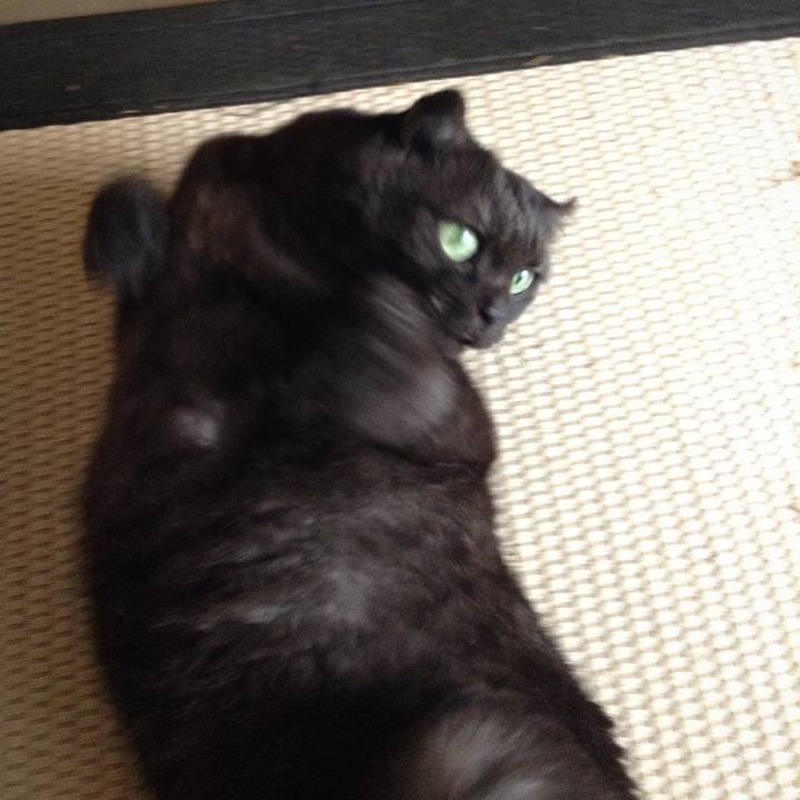 B2f07e08 e771 49c9 a585 af1d4d220320