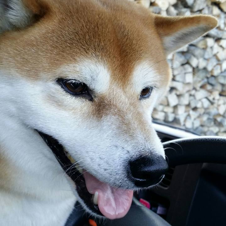 B2f0bc4f 98bc 49c8 8529 0d2794a0b984