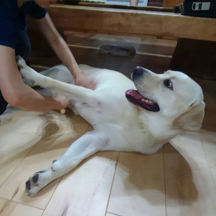 B2f0bed6 8d3d 40fe a7c7 d7ec2a5fac95