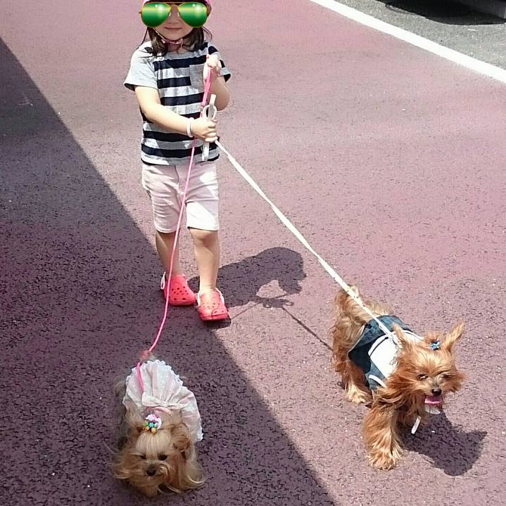 B2f0cebf 0db2 446c 8e6c 10e93aa3c16b