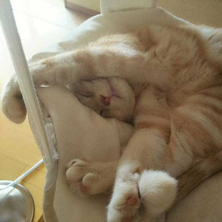 B2f12a25 2fbd 49f7 aa7d 3dbe4480d392