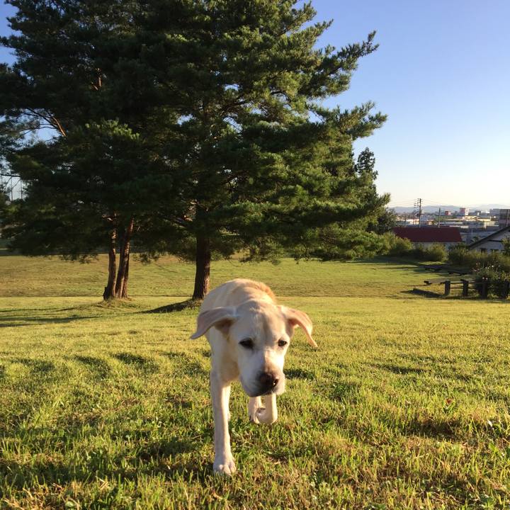 B2f13220 8903 4e15 a16f 5a058a210103