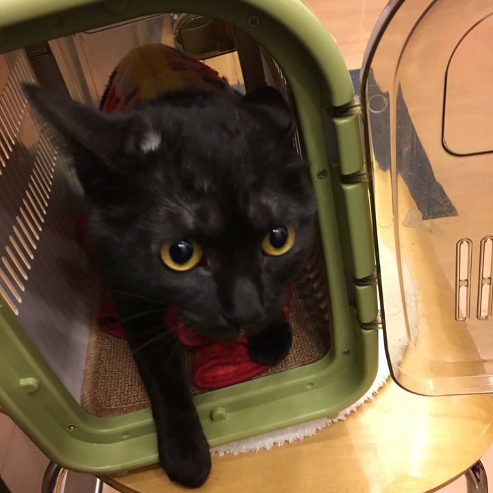 B2f26a3b e72d 4534 b7e1 a64ac88ce734