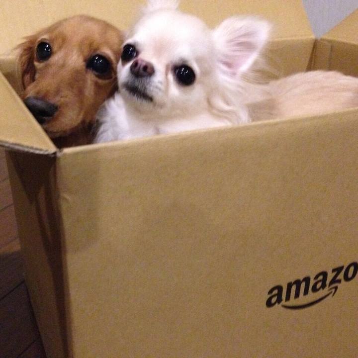 B2f2cacf 806b 431b 94bd 861a9e8cb548