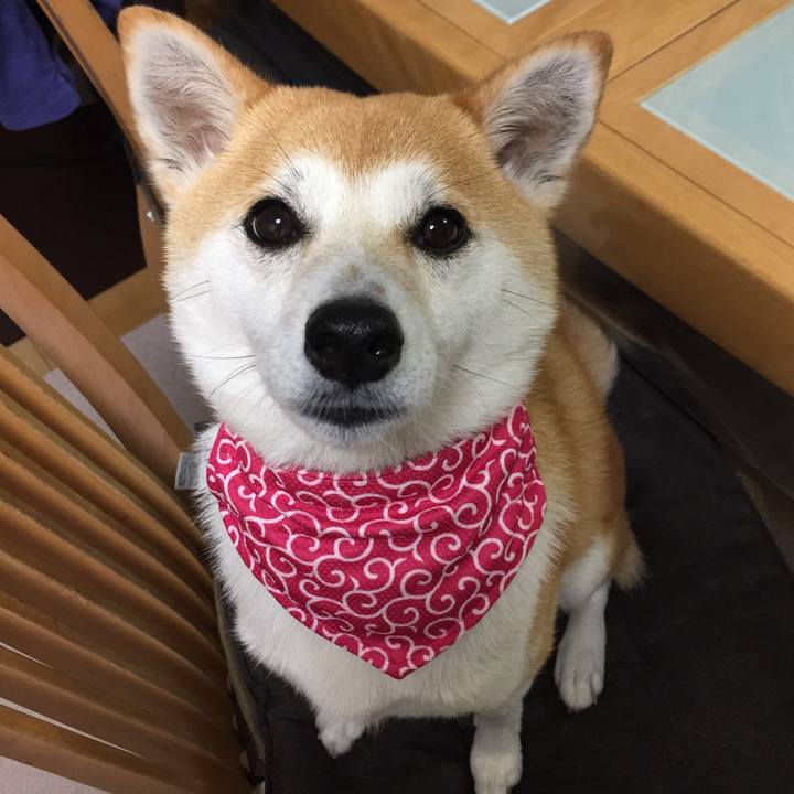 B2f30400 fe2c 4afe a68a 33610b66a456