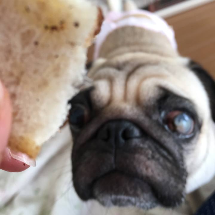 B2f30d82 1f3e 4cf9 8a48 7cdeff596f36