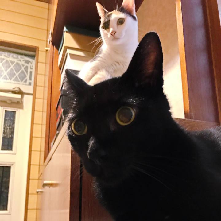 B2f3a7ed 8c86 45a6 958d 88f988a71254