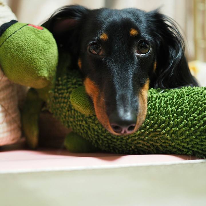 B2f43ed8 3072 43a6 b436 3265be12e40d