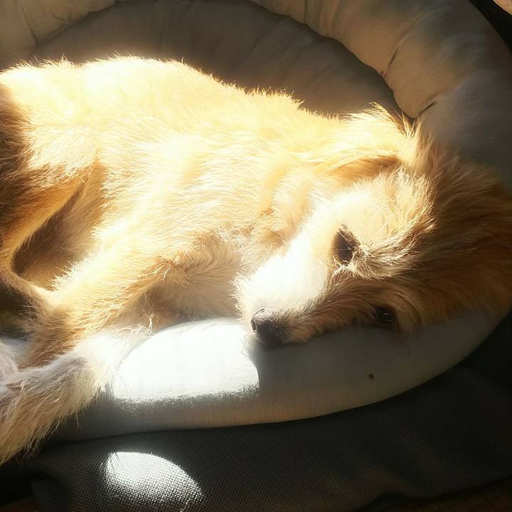 B2f49f44 51a9 452f afd9 e52064ab0aff