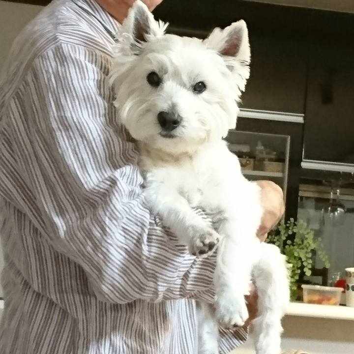 B2f4ca76 8767 47df bef3 cf9176411f97