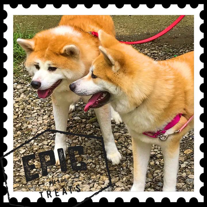 B2f5378b 3234 4c3f b682 91bc18f5acfb