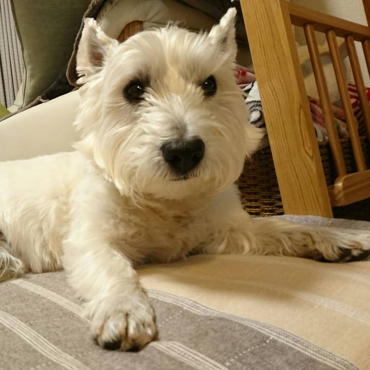 B2f57823 0c55 4c25 9b8f 7b03e3af7673