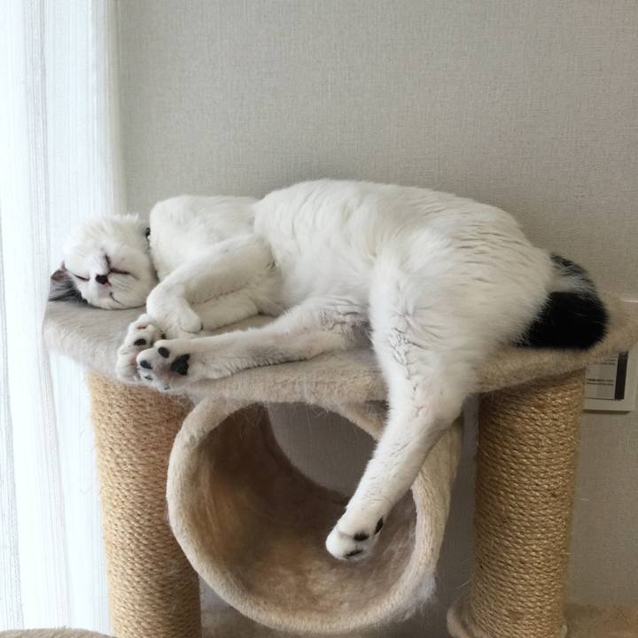 B2f5dcee 6a76 46fd bd89 7b0bf260e7ad