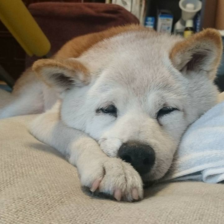 B2f5e253 093f 4622 afe6 901ce65dc4e6