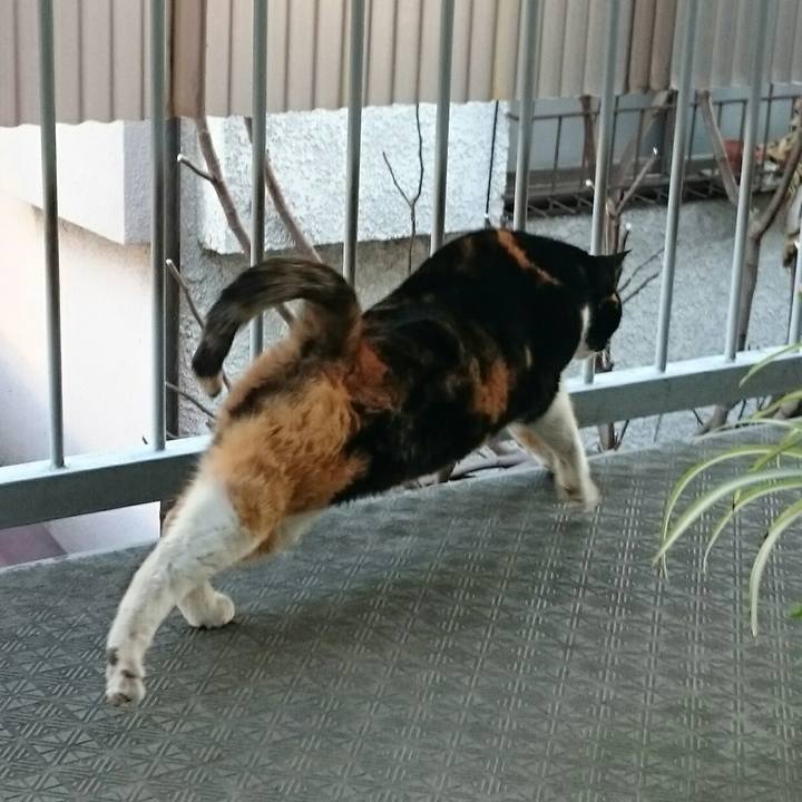 B2f67bab 26ff 438f b557 031e4e9313da