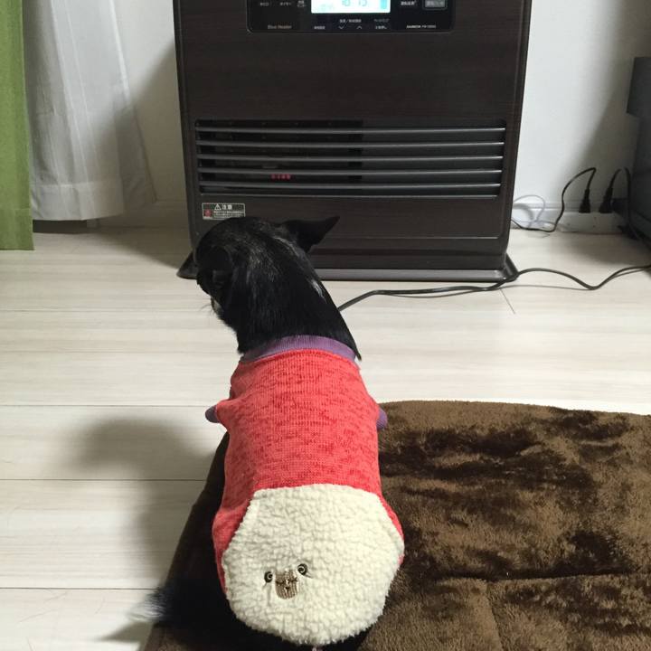 B2f75879 0cf6 4277 801b 2ba0c41173fe