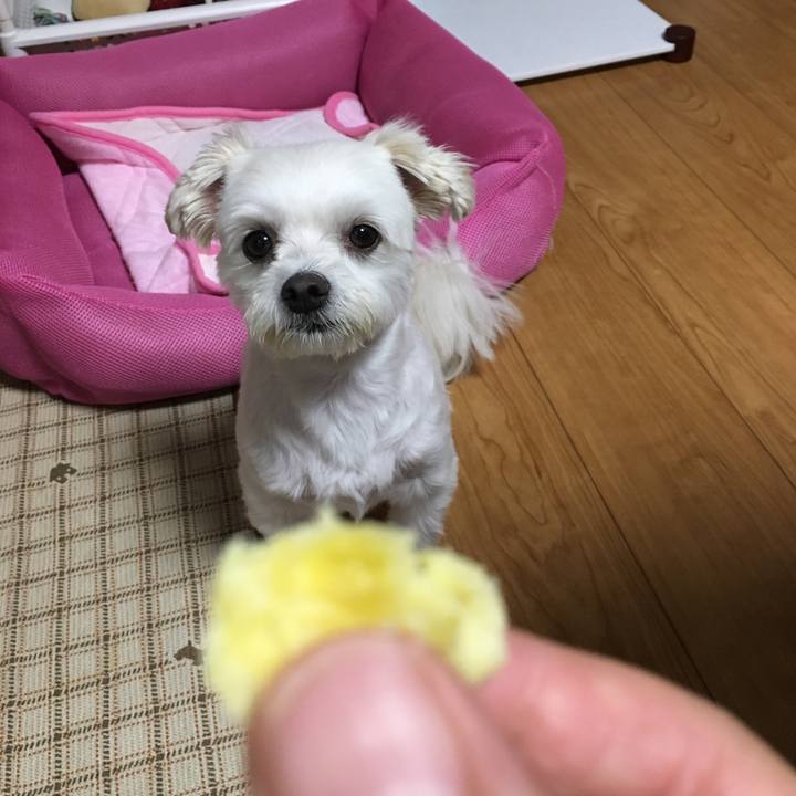 B2f762a0 fe5d 4316 af2c a53fc7d7fd22