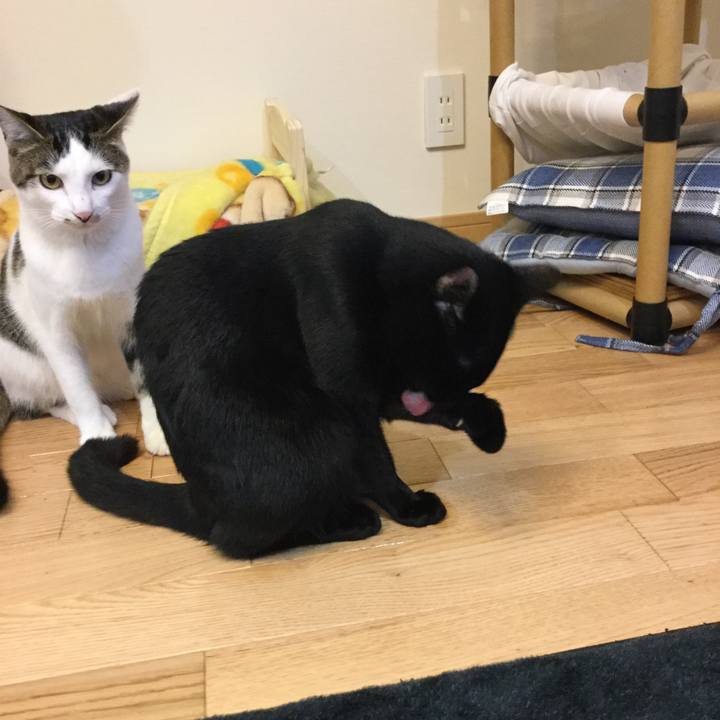 B2f7eccc aed2 4e89 9cdb 84f25e0a94c8