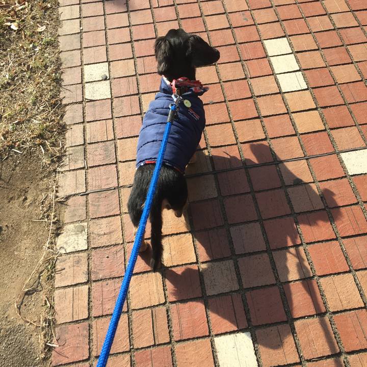 B2f89fe4 ac45 4a24 8f1c 40ba5fc3801f