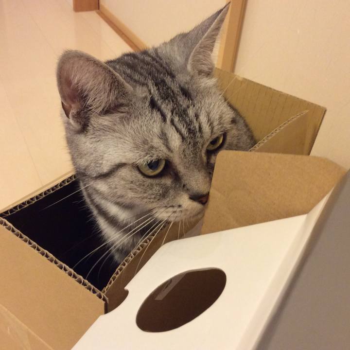 B2f98450 2383 4545 9ab5 f6b622c7e87e