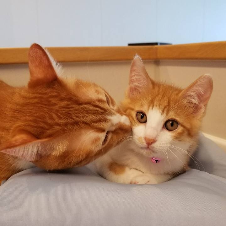 B2f98fe1 510a 495b bd82 7044c1576c6c