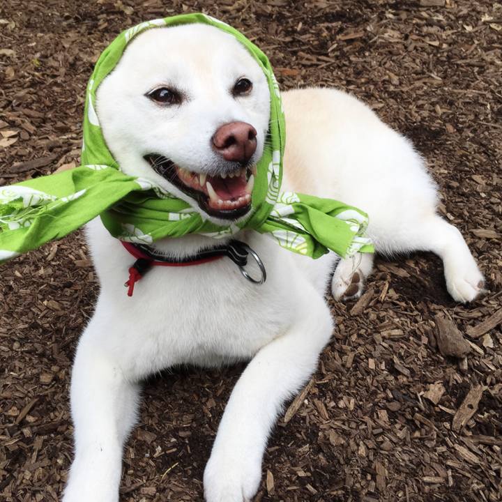 B2f99f93 61df 44a3 9a8a a5113ae0a5b9