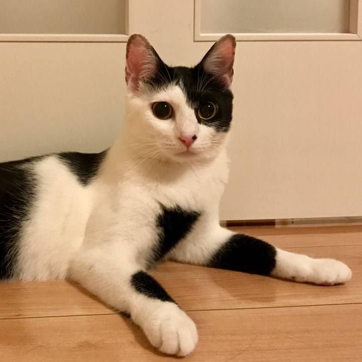 B2f9e656 9f7d 445e 8a59 ffe20d95c426