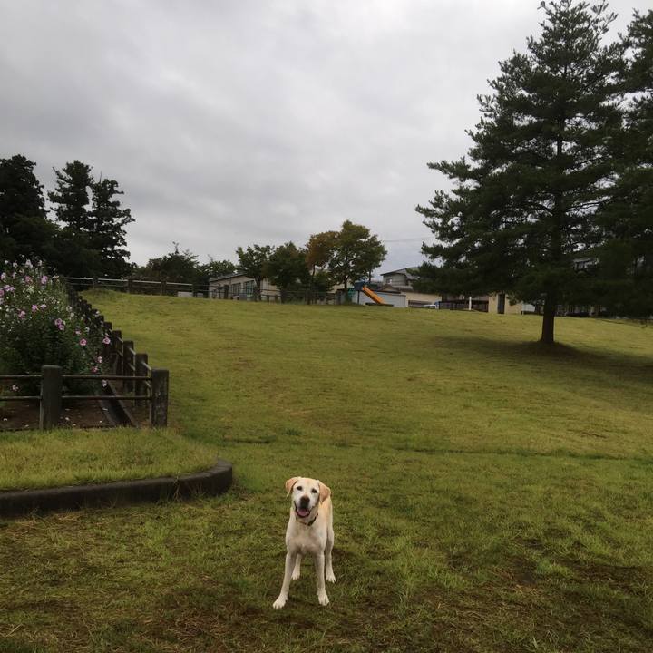 B2fa0c24 e1d8 43dd 973c 58584e8f72a1