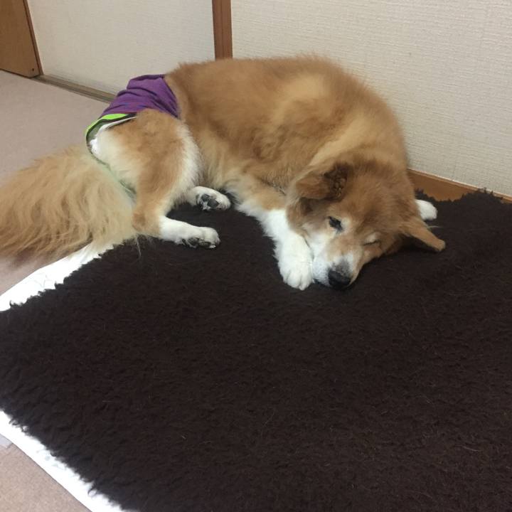 B2fa401a a6ab 4bb7 98fc 44818ba9500c