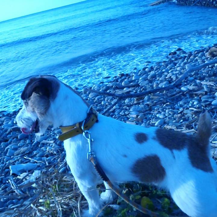 B2fb4caa 5254 4988 84ae 130926ece74c