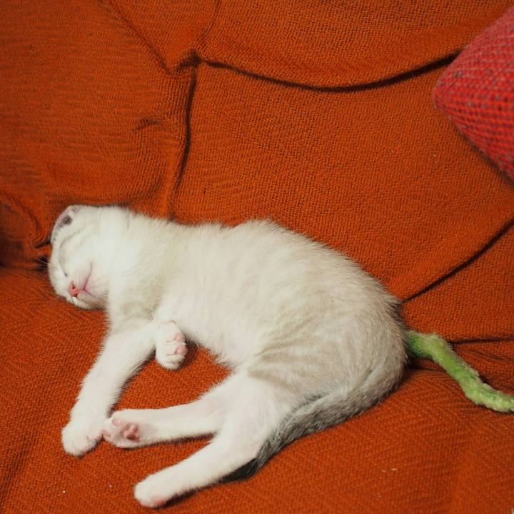 B2fc5a82 479a 4ef5 942b 32a4794dc2b0