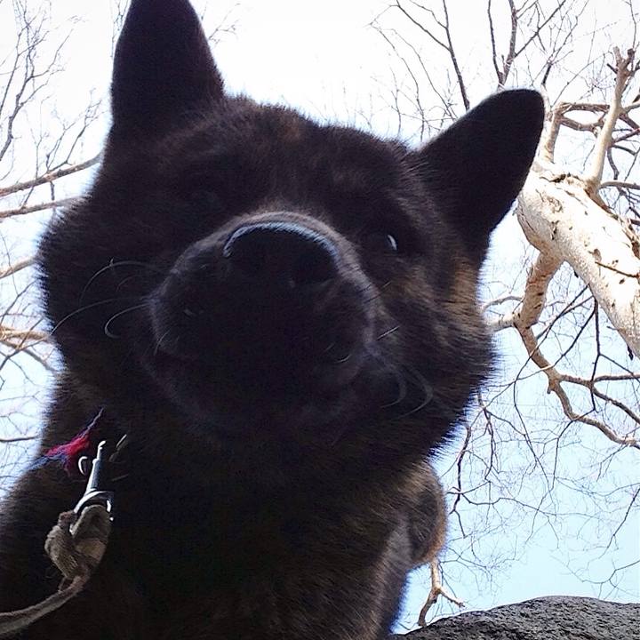 B2fcfaf7 bdb6 4079 a35f ea2b8c561b13