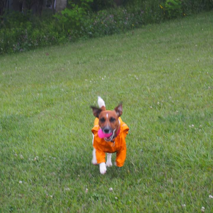 B2fd17ef 7a07 42f4 ad32 dc00a23dccfb