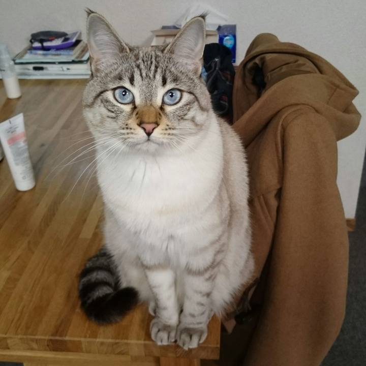 B2fd3e6e c414 43c3 997f df34afa04ed6