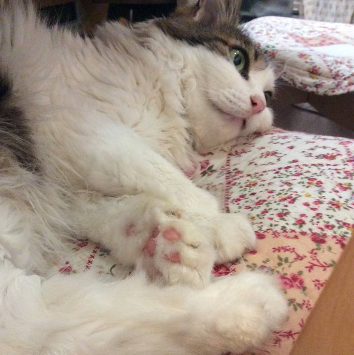 B2fd6d79 b96a 43db 9d36 2f67dbfb7b70