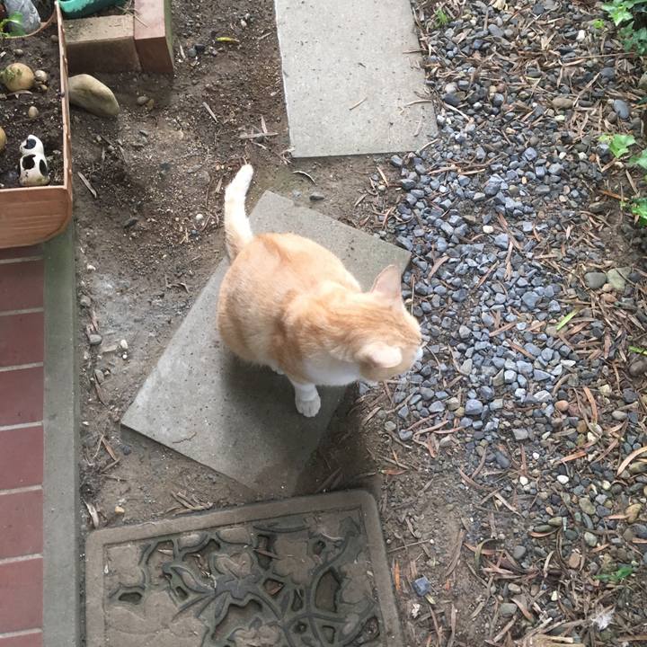 B2fde642 fbcd 478f 9707 87acfabb2017