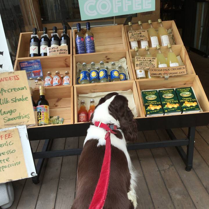 B2fec6af 1df9 4089 8b9f 48fe21153e02