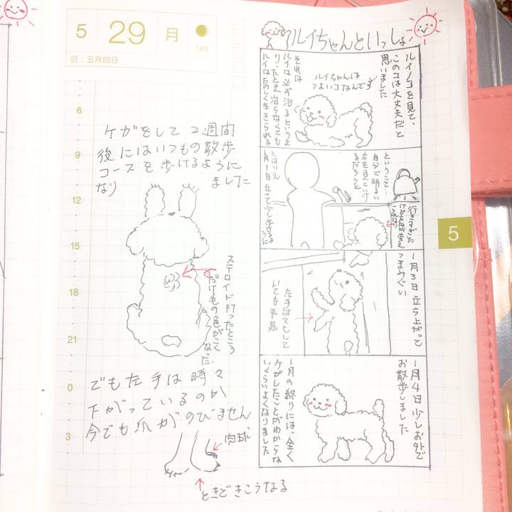 B2ff89f5 6811 4f8e af1b f7dfcde3d8b1