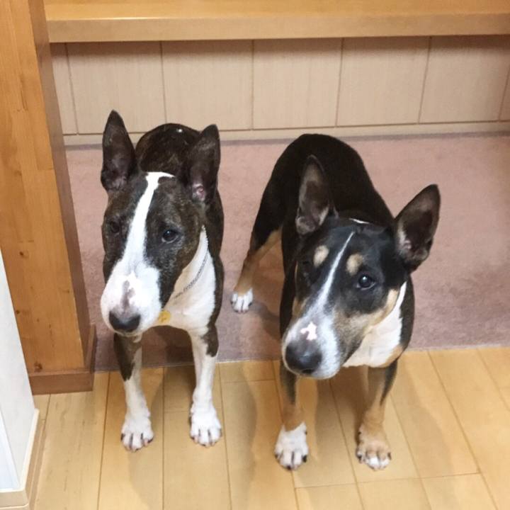 B2ffa392 53f5 45bf 9c2f 6e6aeb2e1a8d