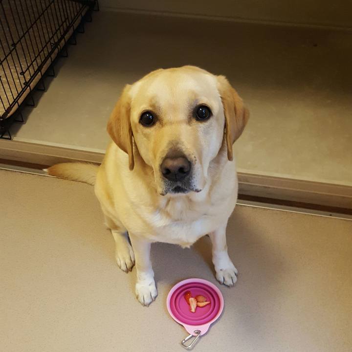 B30036a5 9da0 477d b9a6 0a20fede7b19