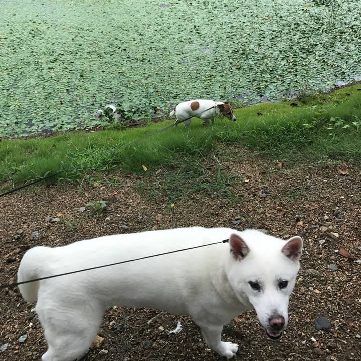 B3007506 58c7 4e95 b8e6 9e1606185152