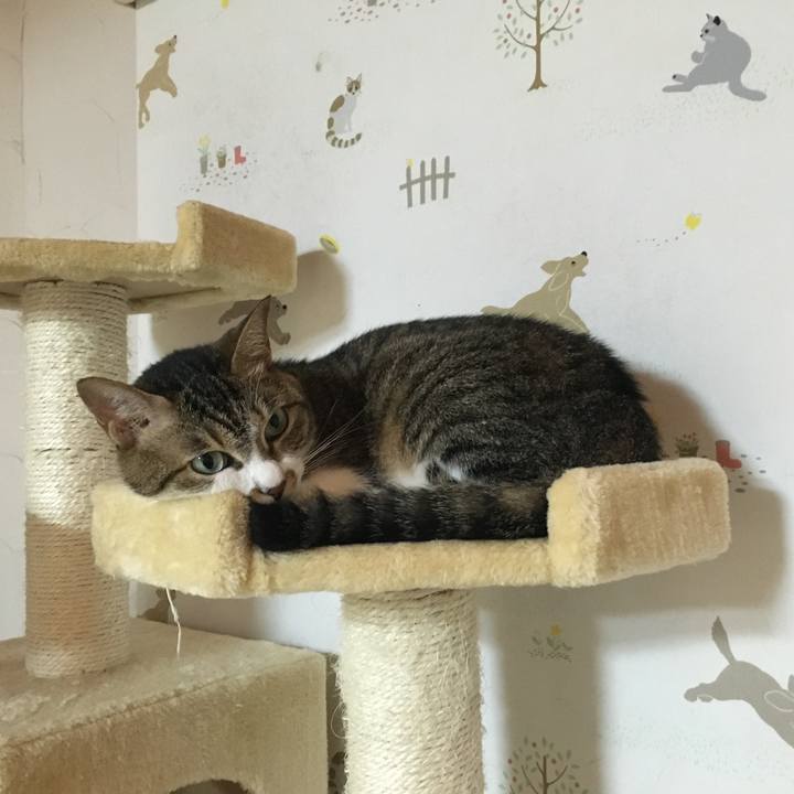 B3007c53 b357 4b06 b085 25f00ac219a2