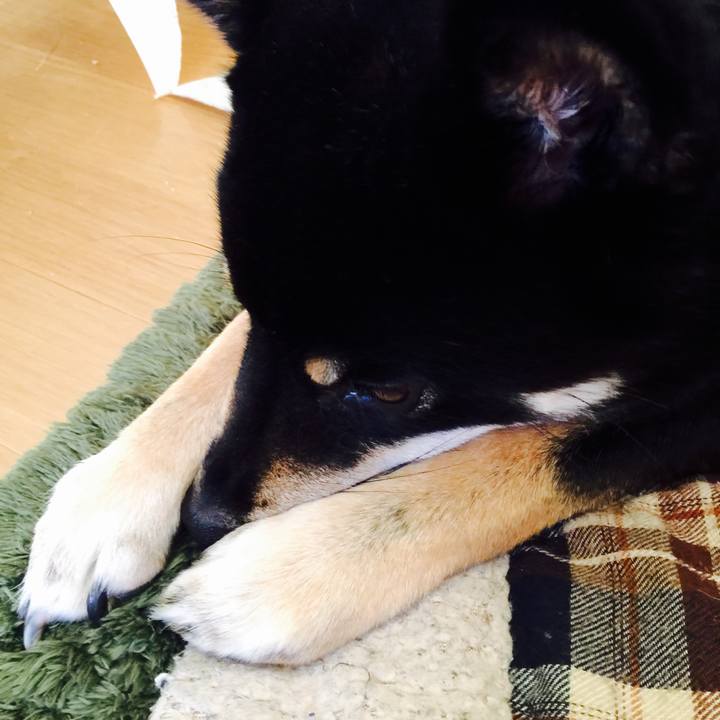 B300898e b83c 4d2b 9632 bd7279ab6423