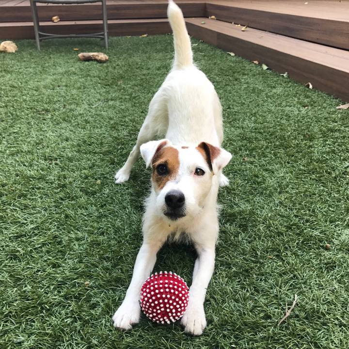 B300b8be 899f 430a 8f2b 96fdcdfa36af