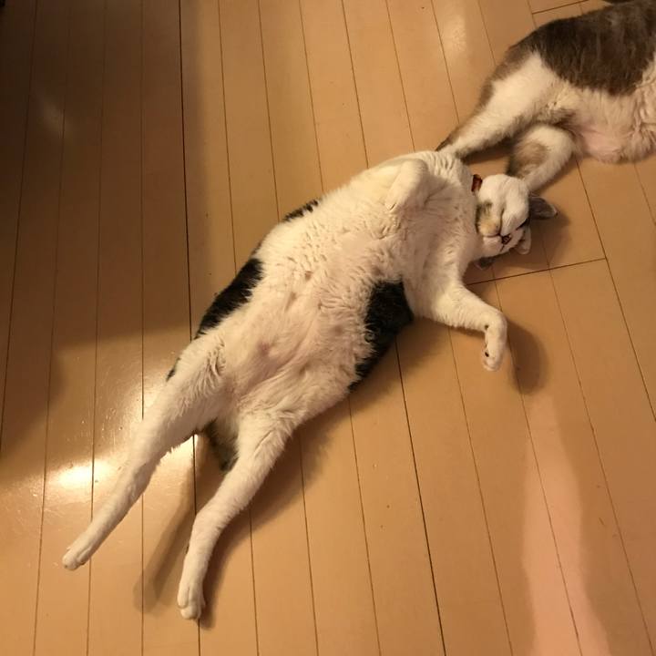 B3014e94 f4b1 4867 9144 4f5907506b95