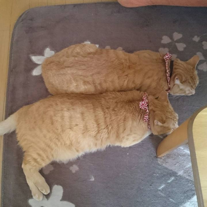 B3018626 df4a 4dfb bfd3 b1ab087f003e