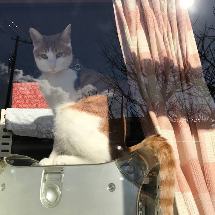 B3024edd 8391 4a73 9927 7bab4fbc646f